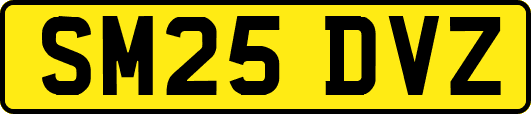 SM25DVZ