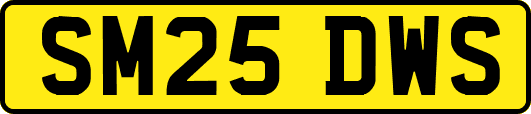 SM25DWS