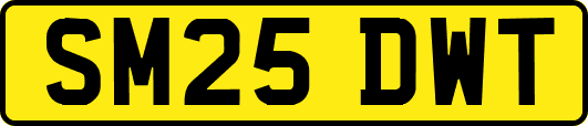 SM25DWT