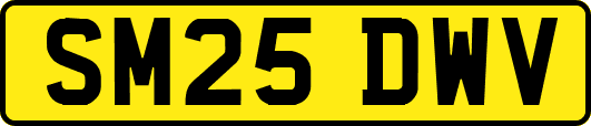 SM25DWV