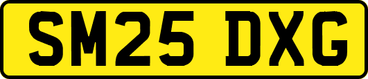 SM25DXG