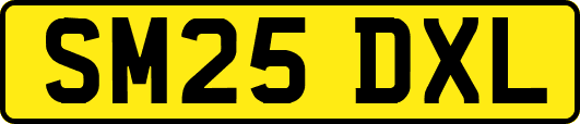 SM25DXL