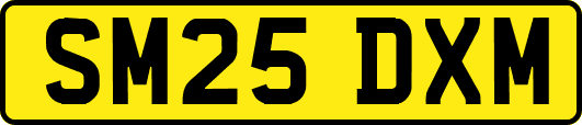 SM25DXM