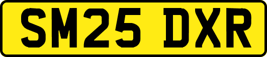 SM25DXR