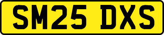 SM25DXS