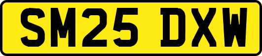 SM25DXW