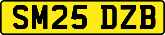 SM25DZB