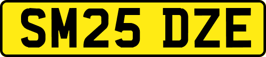 SM25DZE