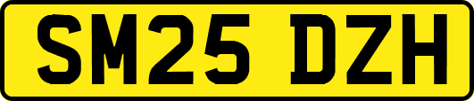 SM25DZH