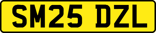 SM25DZL