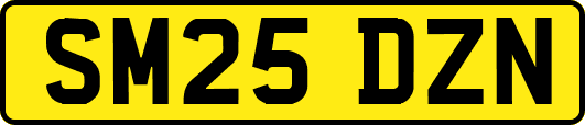 SM25DZN