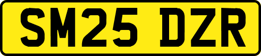 SM25DZR