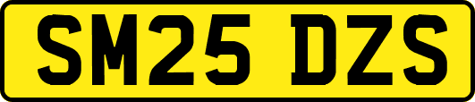 SM25DZS