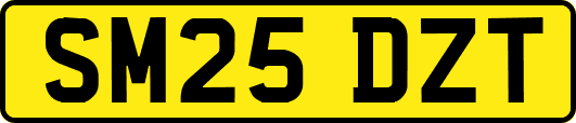 SM25DZT