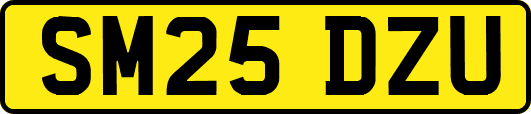 SM25DZU
