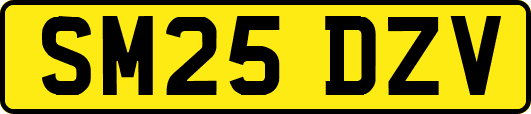 SM25DZV
