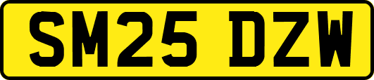 SM25DZW