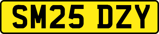SM25DZY