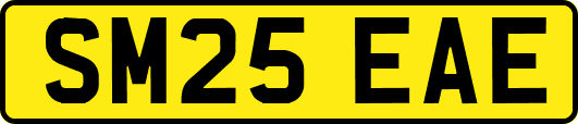 SM25EAE