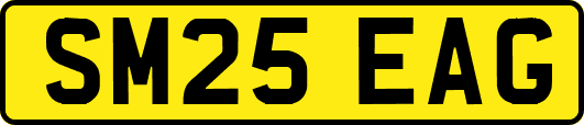 SM25EAG