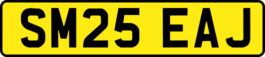 SM25EAJ