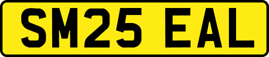 SM25EAL