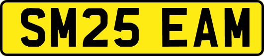 SM25EAM