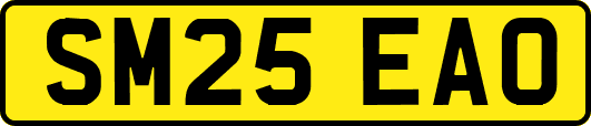 SM25EAO
