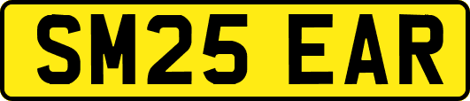 SM25EAR