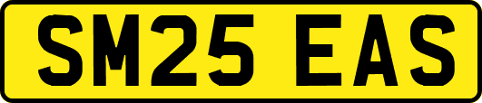 SM25EAS