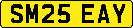 SM25EAY