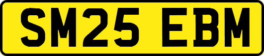 SM25EBM