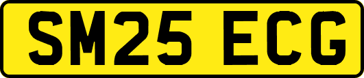 SM25ECG