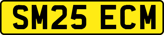 SM25ECM