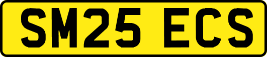 SM25ECS