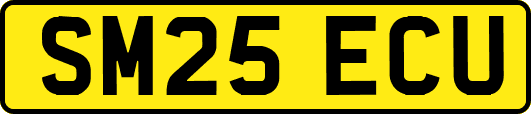 SM25ECU