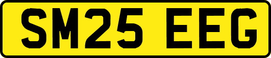 SM25EEG
