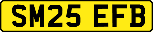 SM25EFB
