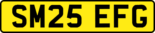 SM25EFG