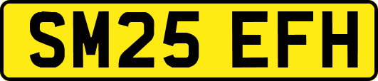 SM25EFH