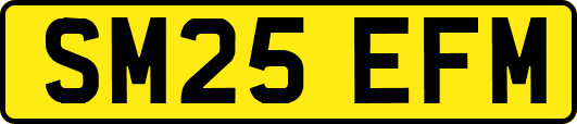 SM25EFM