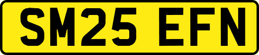 SM25EFN