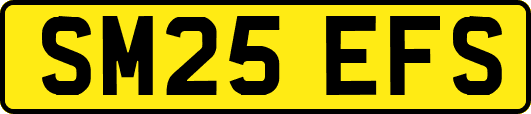 SM25EFS