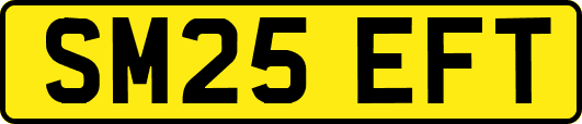 SM25EFT