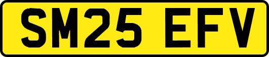 SM25EFV