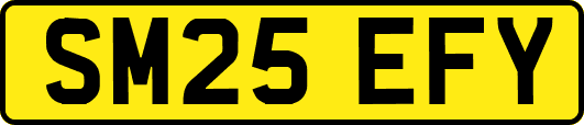SM25EFY