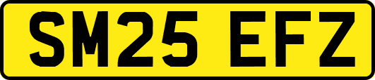 SM25EFZ