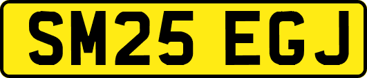 SM25EGJ