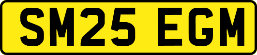 SM25EGM
