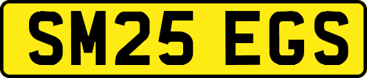 SM25EGS